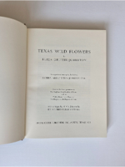 Texas Wild Flowers