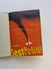Sestřelen