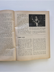 Stráž myslivosti - Ročník XVI. 1938