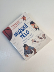 Mužské tělo