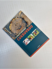 Praktický průvodce cukrovkou