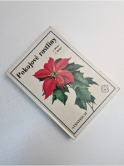 Pokojové rostliny