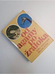 Od agamy po žraloka
