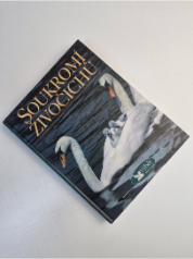 Soukromí živočichů