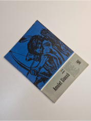 Amulet Siouxů