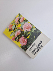 Pokojové rostliny