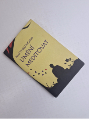 Umění meditovat