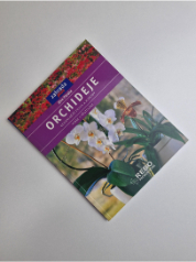 Orchideje: nejkrásnější druhy a hybridy