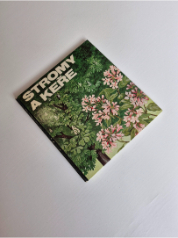 Stromy a keře