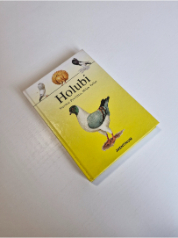 Holubi