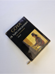 Goya čili Trpká cesta poznání