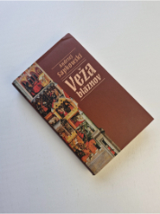 Veža bláznov