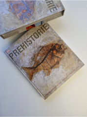 Prehistorie