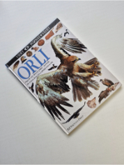 Orli