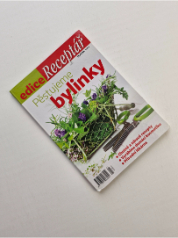 Pěstujeme bylinky