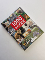 1000 koček