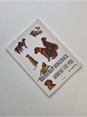 Rhodesian Ridgeback - Africký lví pes