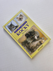 Kočky