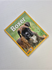 Boxer