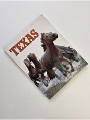 Texas State Travel Guide